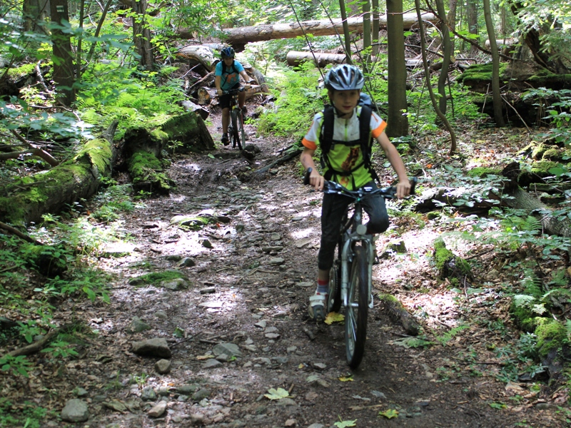 cyklistický tábor - nefalšovaný prales Polom u Trhové Kamenice